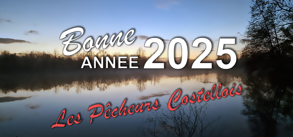 Voeux 2025