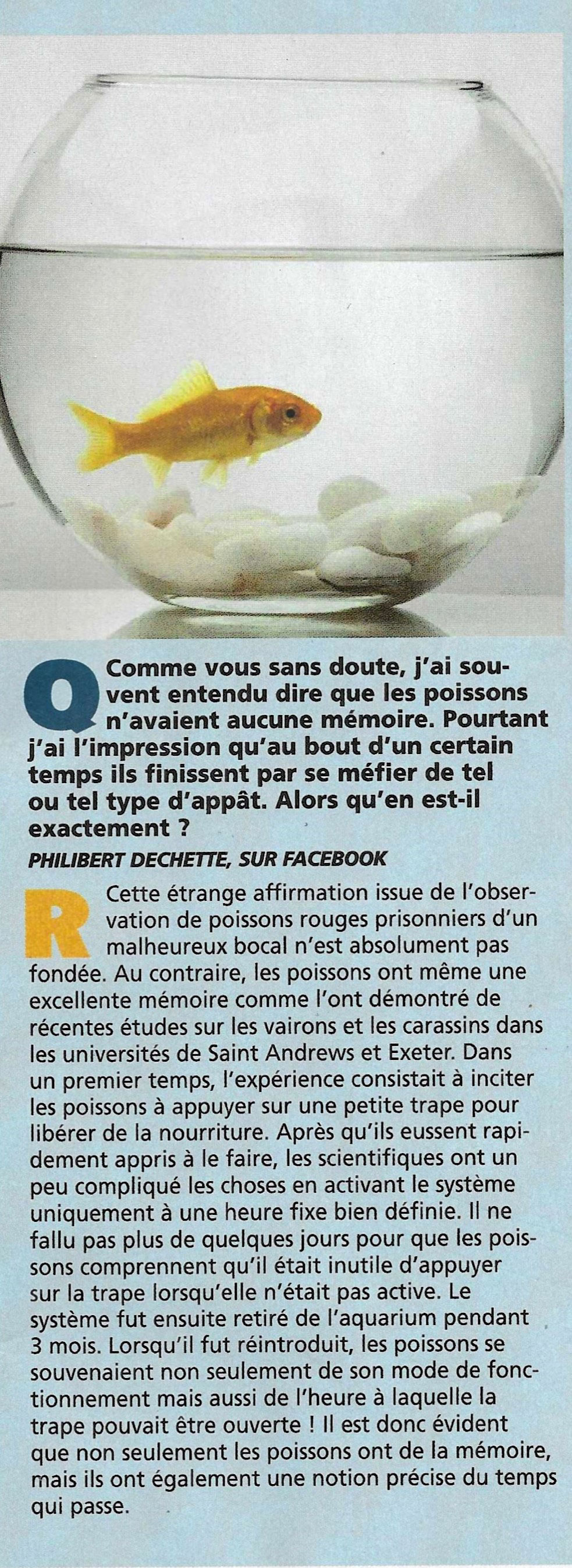 memoire de poisson