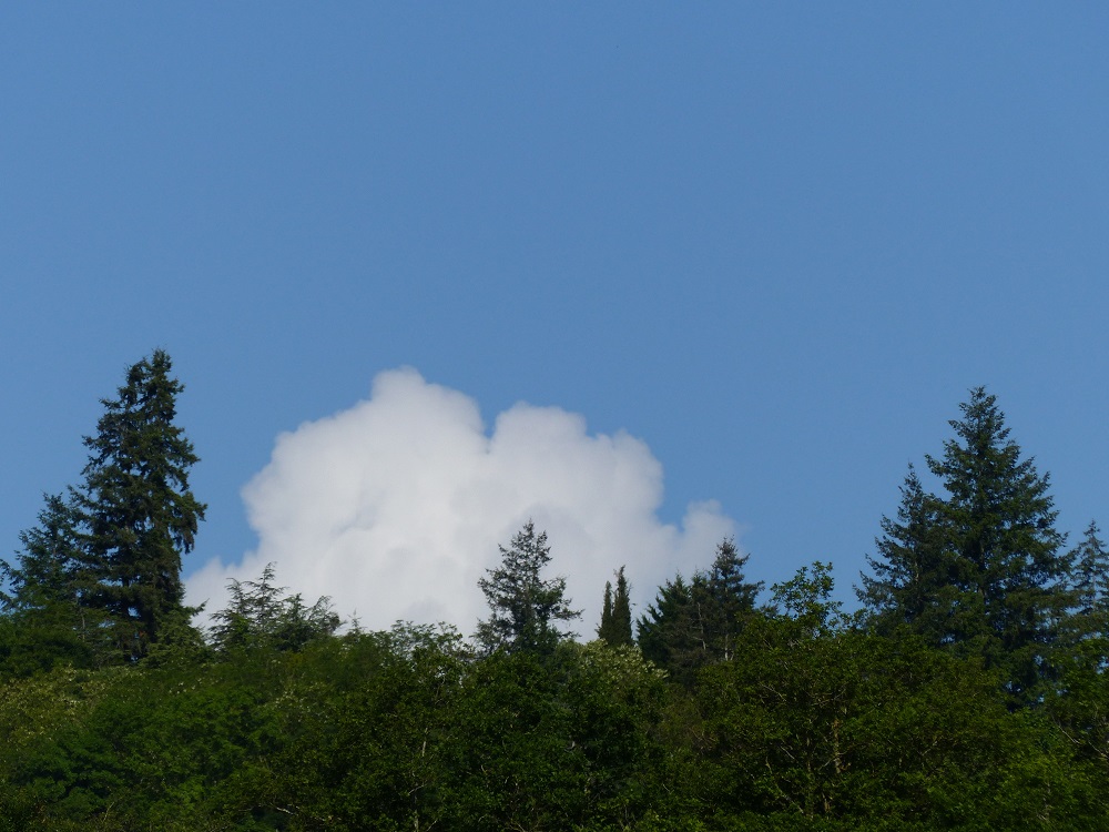 P1020882