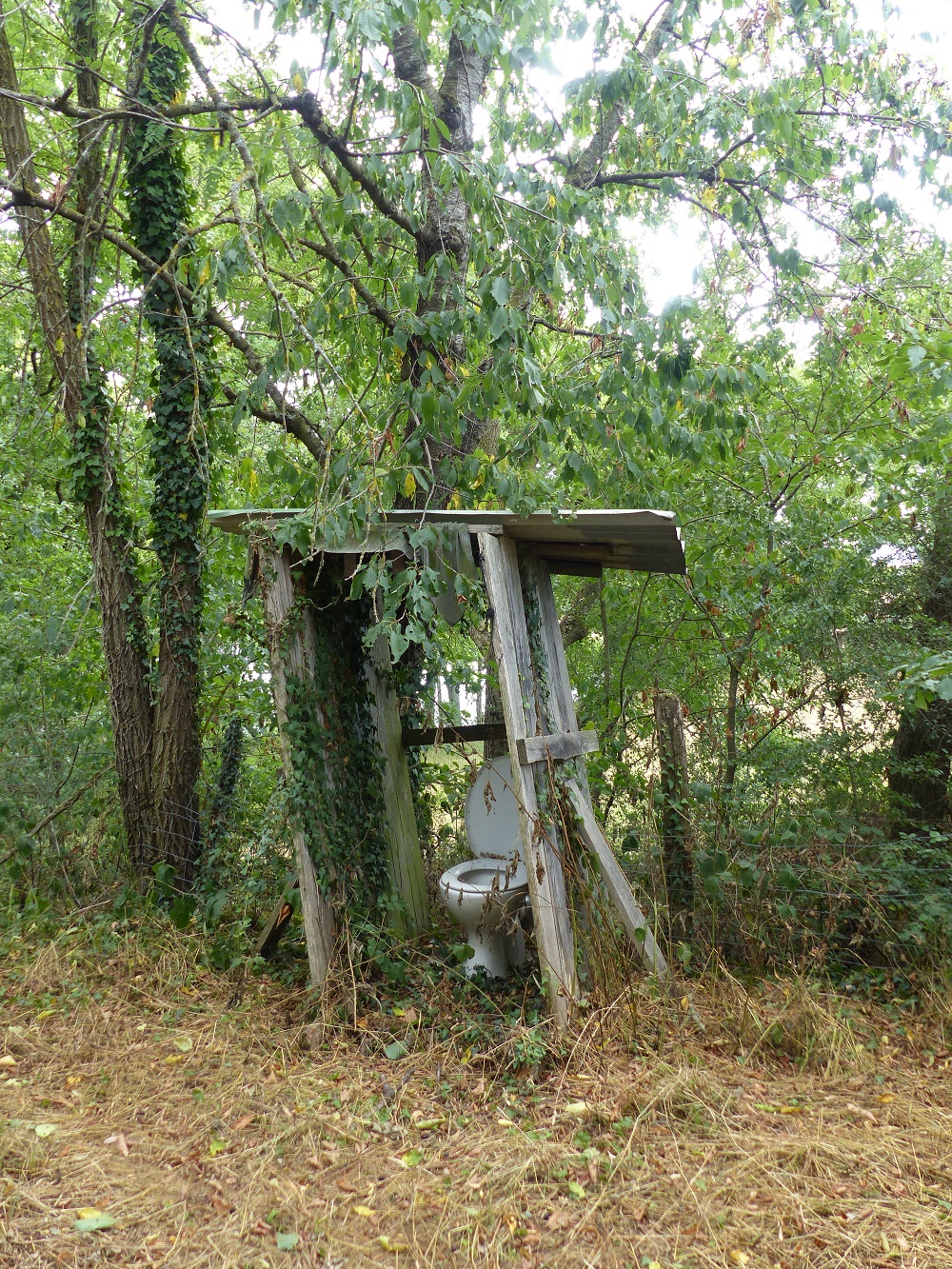 P1030317