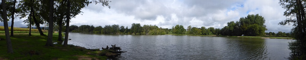 P1030482