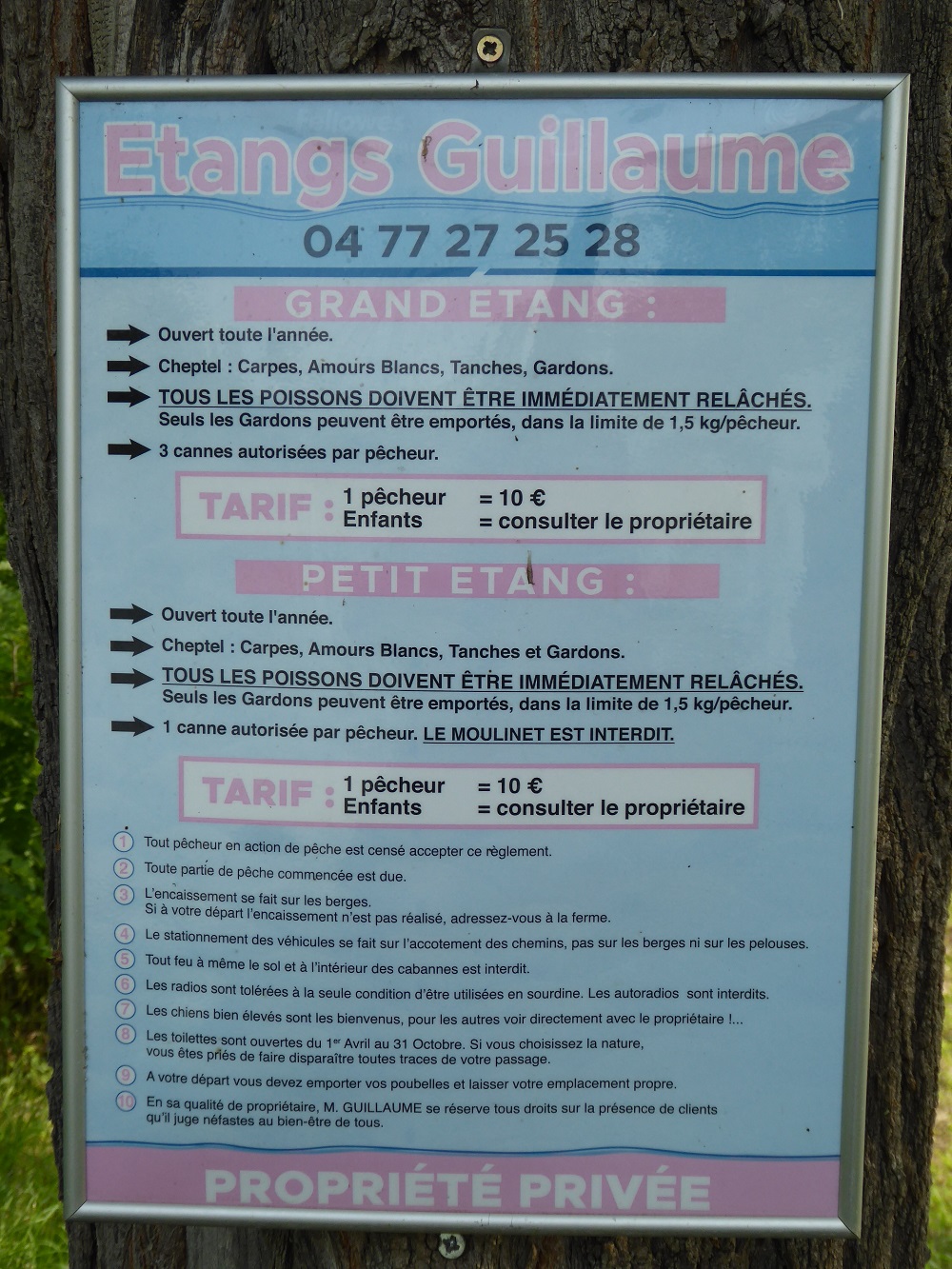 P1040419