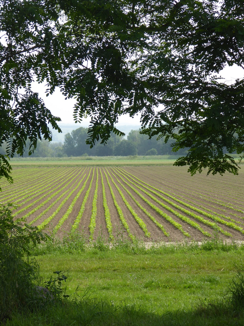 P1040427
