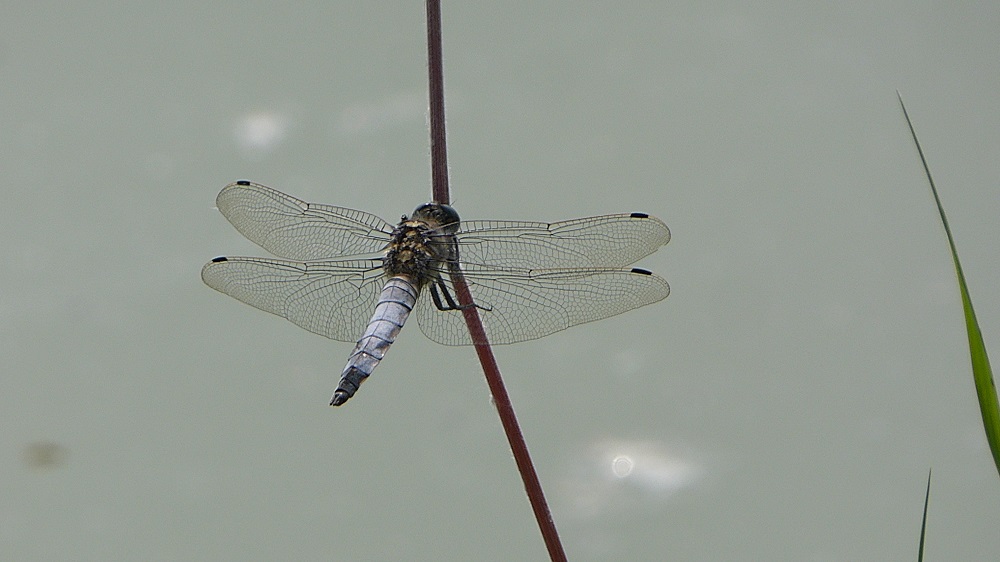 P1040444