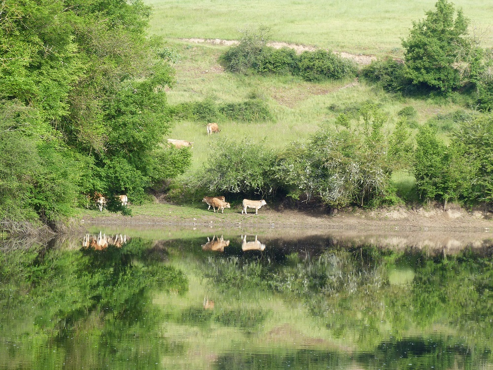 P1040633