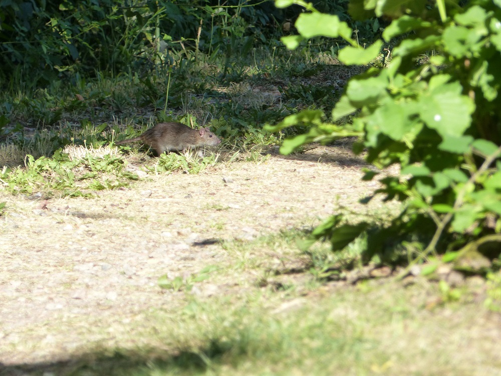 P1040835