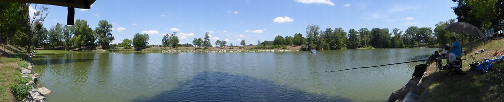 P1050006