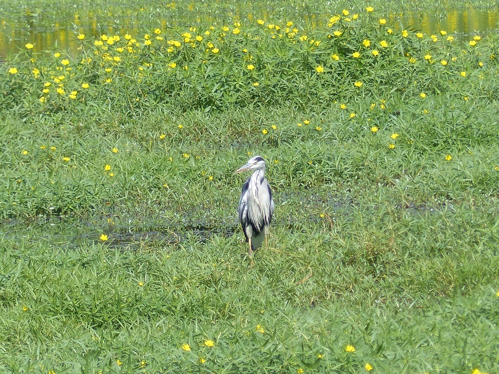 P1050043