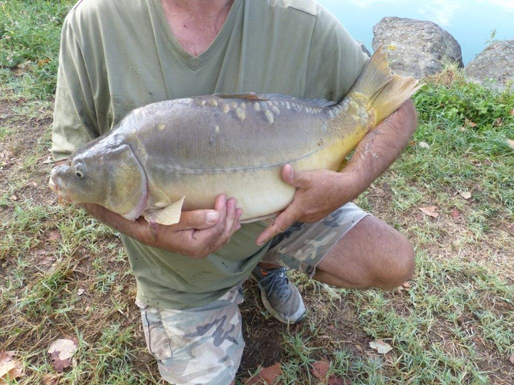 P1050074