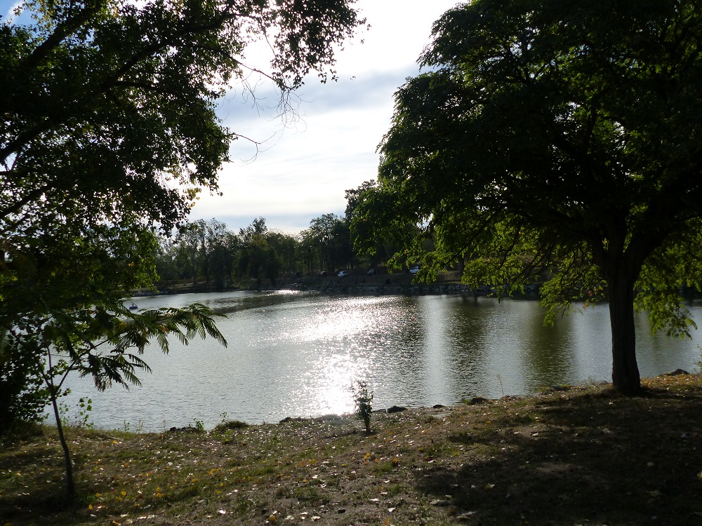 P1050424