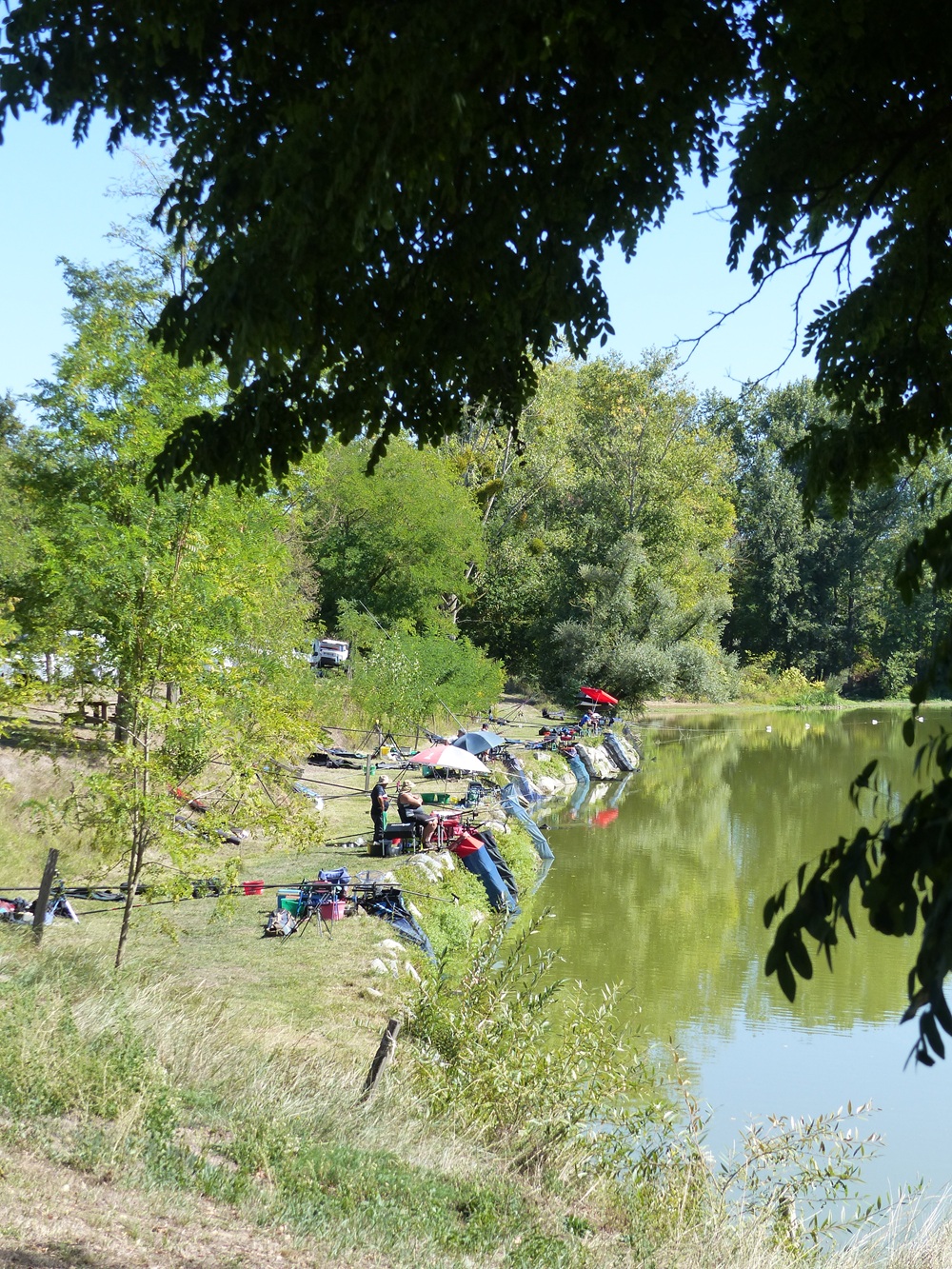 P1050206