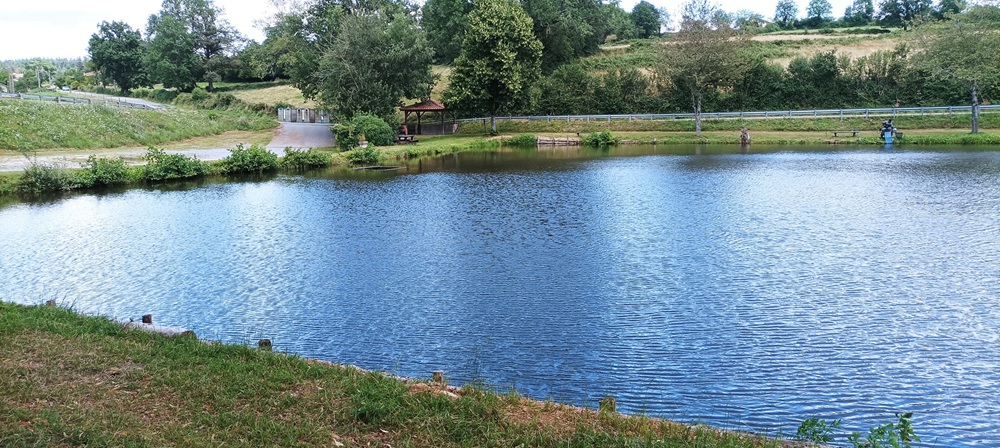 482226086 1172831734631619 5649276683290072234 n