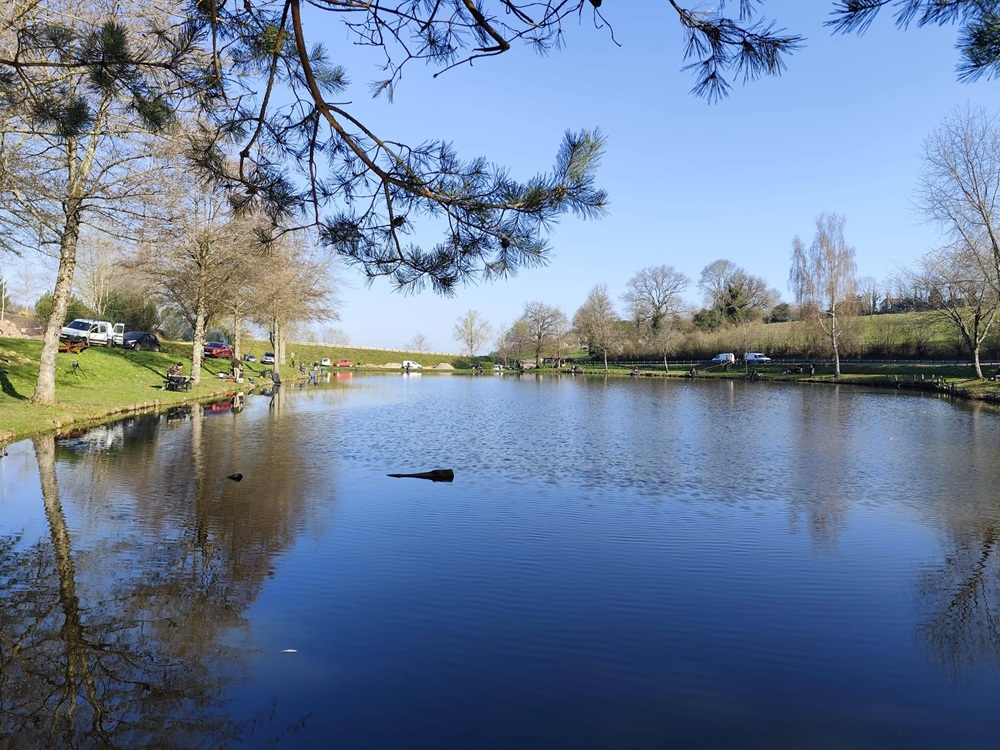 656922461 1476362894278500 1025377894084739486 n